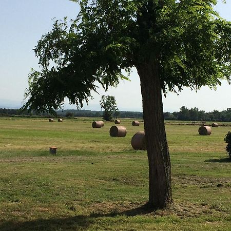 Location Gite 4 Personnes Mazeres - La Petite Maison Kültér fotó