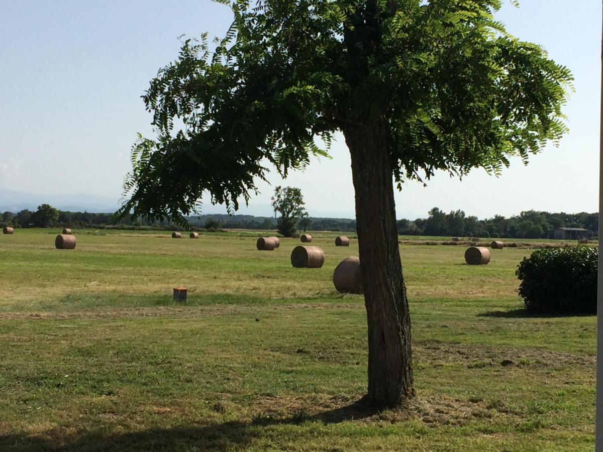 Location Gite 4 Personnes Mazeres - La Petite Maison Kültér fotó